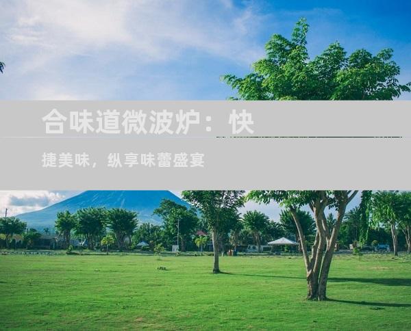 合味道微波炉：快捷美味，纵享味蕾盛宴