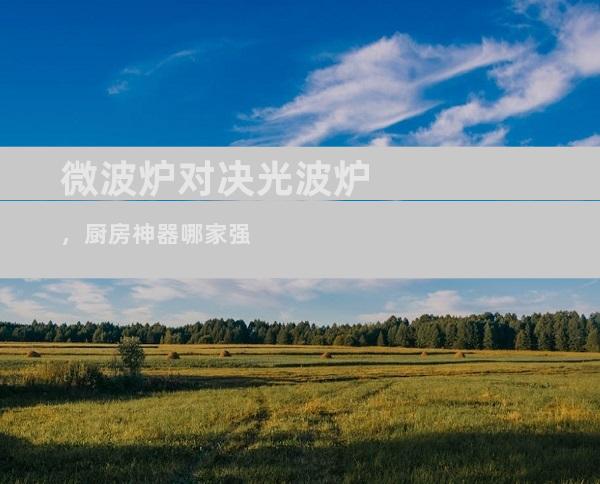 微波炉对决光波炉，厨房神器哪家强