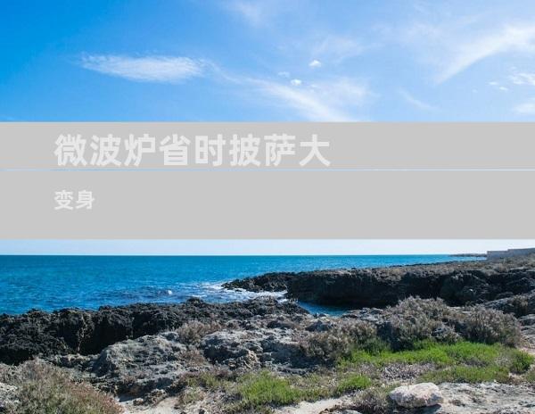 微波炉省时披萨大变身