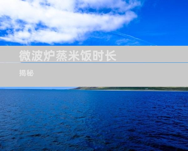 微波炉蒸米饭时长揭秘