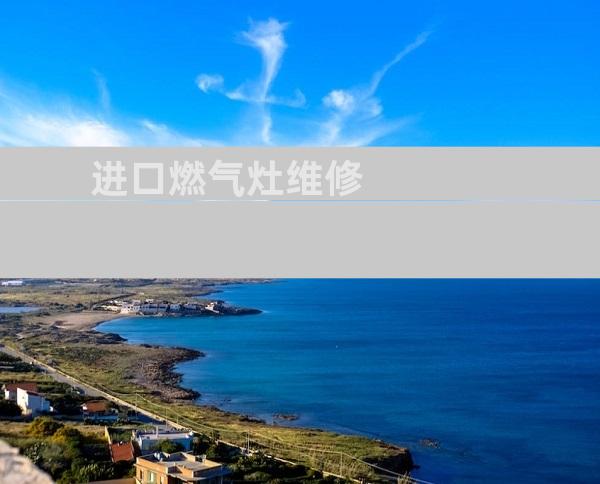 进口燃气灶维修