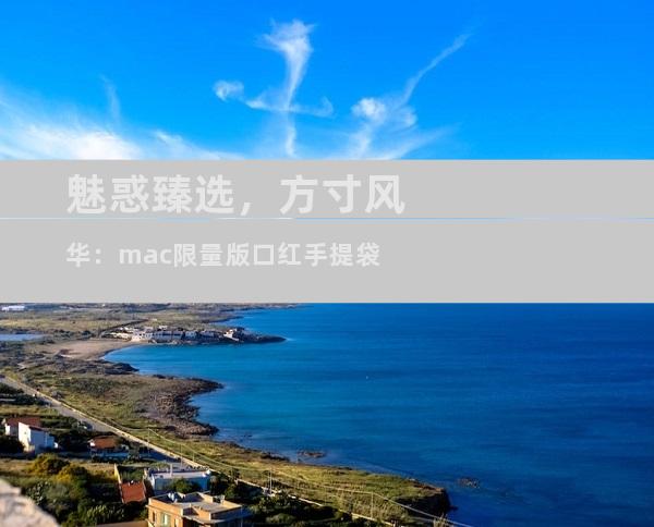 魅惑臻选，方寸风华：mac限量版口红手提袋